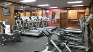 Fitness centrum a/nebo fitness zařízení v ubytování Decatur Conference Center and Hotel