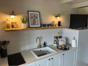 インバネスにあるRetreat Hot Tub Highland Cabinのシンクと冷蔵庫付きのキッチン