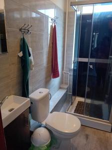 a bathroom with a toilet and a shower at OLEŃKA in Darlowko