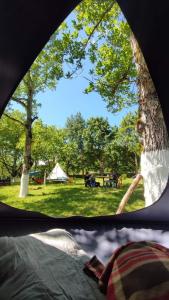 Gallery image of Karavani racha in Kʼveda Tʼlughi +137 photos