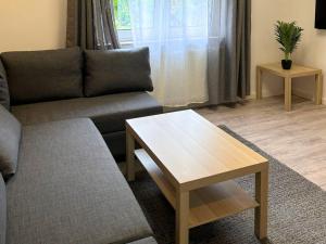 un salon avec un canapé et une table basse dans l'établissement Stay Nest Komfort Ferien- und Monteurwohnungen Küche-Garten, à Liesborn