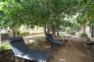 two chairs and a table under a tree at Le Havre Catalan - Maison pour 6 à Argelès-sur-mer in Argelès-sur-Mer +4 photos