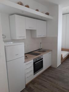 Kuchyň nebo kuchyňský kout v ubytování Apartmani Marija Mljet