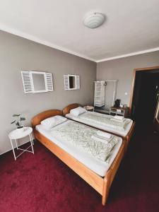 Postel nebo postele na pokoji v ubytování hotel Florian Sedlčany