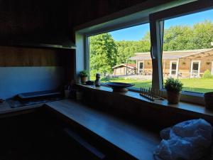 a window in a kitchen with a view of a yard at Merkioaidas in Sližiūnai