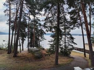 a path through a forest with a view of the water at Hotel na Pláži in Doksy