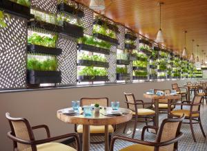 Restaurace v ubytování Hyatt Centric Ballygunge Kolkata