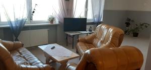 a living room with two leather chairs and a television at Noclegi nad Biebrzą Stara Szkoła in Wroceń