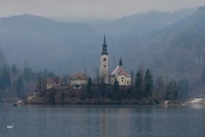 Příroda nedaleko apartmánu