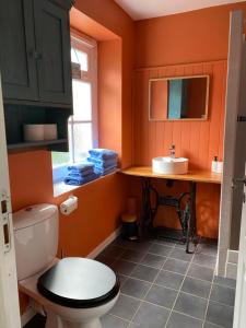 an orange bathroom with a toilet and a sink at Gites Libellule at Auberge de l'Arac, Bar, Restaurant in Aleu +21 photos