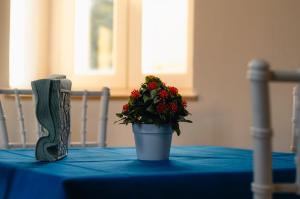 Fotografie z fotogalerie ubytování Al Mare Fuori v destinaci Calopezzati