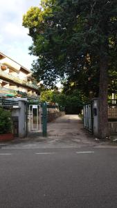 an empty street with a tree and a building at Domus Mari in Fiuggi