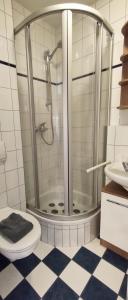a bathroom with a shower with a toilet and a sink at Hund im Glück in Wangerooge
