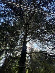 Landskap semula jadi dekat dengan rumah percutian