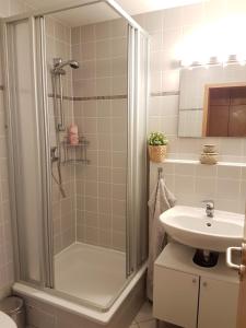 a bathroom with a shower and a sink at Studio Dresden Neustadt & parking in Dresden