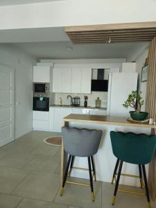 Η κουζίνα ή μικρή κουζίνα στο Ohrid Pearl Apartment