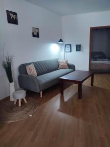 Gallery image of Studio Sara in Premantura