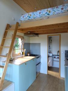 Kuchyň nebo kuchyňský kout v ubytování Tiny House autonome