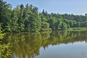 Příroda nedaleko apartmánu