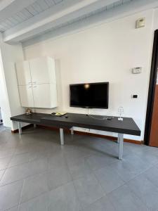 TV a/nebo společenská místnost v ubytování Alex's lake house