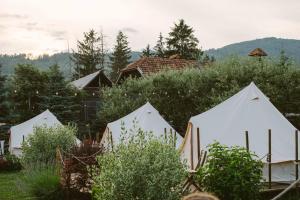 a group of white tents in a field at Valea Doftanei Glamping in Teşila +52 photos