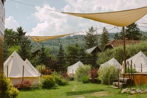 Příroda nedaleko luxury tent + 37 fotografií