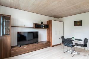 TV a/nebo společenská místnost v ubytování Little studio house