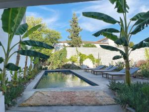 a swimming pool in a garden with benches and trees at Casa Pimenta in Vidigueira
