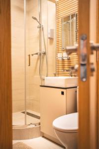 Un baño con ducha, inodoro y lavabo. en Emila's apartments, en Palanga 18 fotos más