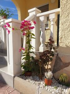 Vườn quanh Casa Lustigmann