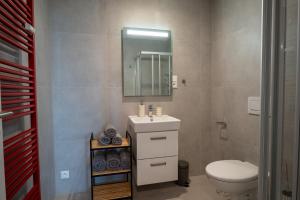 a bathroom with a toilet and a sink and a mirror at Apartmány Gočárova třída in Hradec Králové