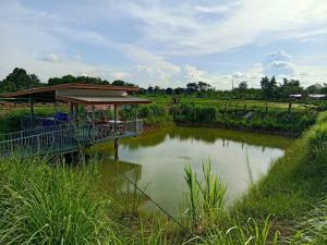 een vijver met een paviljoen naast een veld bij Layla Garden resort in Ban Hua Na +3 foto's