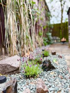 Gallery image of Chatky na Rozkoši - Tina in Náchod