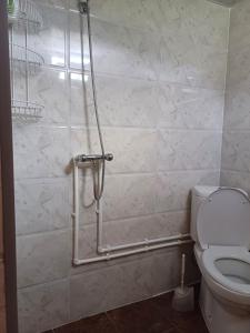 a shower stall in a bathroom with a toilet at Guest House Old Omalo in Omalo