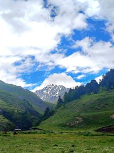 a horse grazing in a field with mountains in the background at Guest House Old Omalo in Omalo