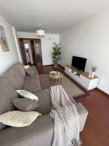 a living room with a gray couch and a television at Apartamento Ensenada de Barraña in Boiro