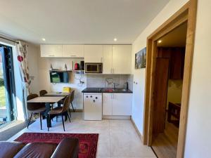 Kuchyň nebo kuchyňský kout v ubytování The Haven Montriond jardin 4 personnes + 8 fotografií