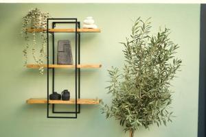 a shelf on a wall with a plant at Elements Milfontes - Japandi Designed House - City Center in Vila Nova de Milfontes