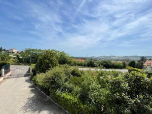 a view of a garden with trees and bushes at CASA VACANZE DA LUCA in SantʼElpidio a Mare