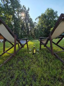 two picnic tables with a bottle of wine sitting on the grass at Kika apartmani-FREE PARKING- 7 km od centra in Zagreb
