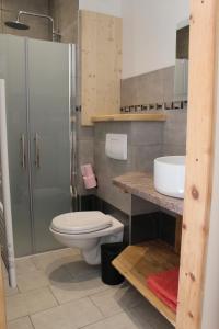 een badkamer met toilet, douche en wastafel bij Maison coeur de ville Rue calme in Gap