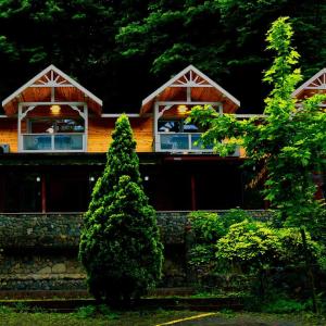 Κήπος έξω από το Maşukiye Dream Homes