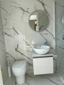 a bathroom with a toilet and a sink and a mirror at Favolosa Suite con Terrazzo in Vicenza
