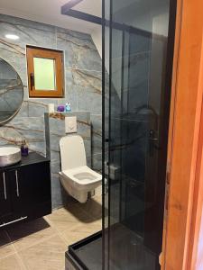 a bathroom with a toilet and a glass shower at Woodside Blidinje in Risovac