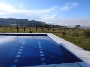 a swimming pool in front of a field with a cow at Casa Campestre Lago Calima in Darién