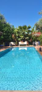 uma grande piscina azul com árvores ao fundo em Beldicolors em Marraquexe