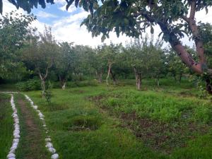 eine Reihe von Felsen auf einem Feld mit Bäumen in der Unterkunft Акбермет in Bokonbayevo + 3 Fotos