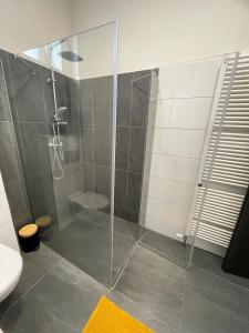 Koupelna v ubytování Bella Apartment Ostrava