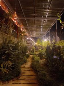 une serre remplie de nombreuses plantes et lumières dans l'établissement K50 Waterfall Village - Homestay Măng Đen, à Kon Plong