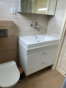 a bathroom with a white sink and a toilet at domki-sopotnia in Sopotnia Wielka +37 photos